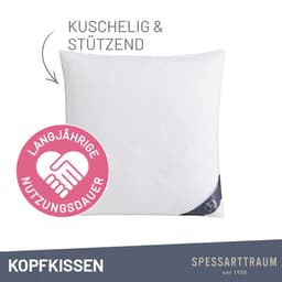 SPESSARTTRAUM Daunenkissen FIRST CLASS | Weiß
