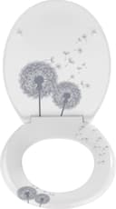 WENKO WC-Sitz Astera | Mehrfarbig 3