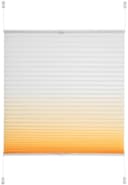 Liedeco Plissee Farbverlauf | Orange