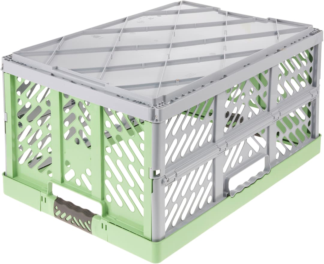 Keeeper Klappbox Ben Eco | Grün