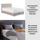 COTTA Boxbett Tom | Grau 4