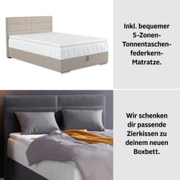 COTTA Boxbett Tom | Grau