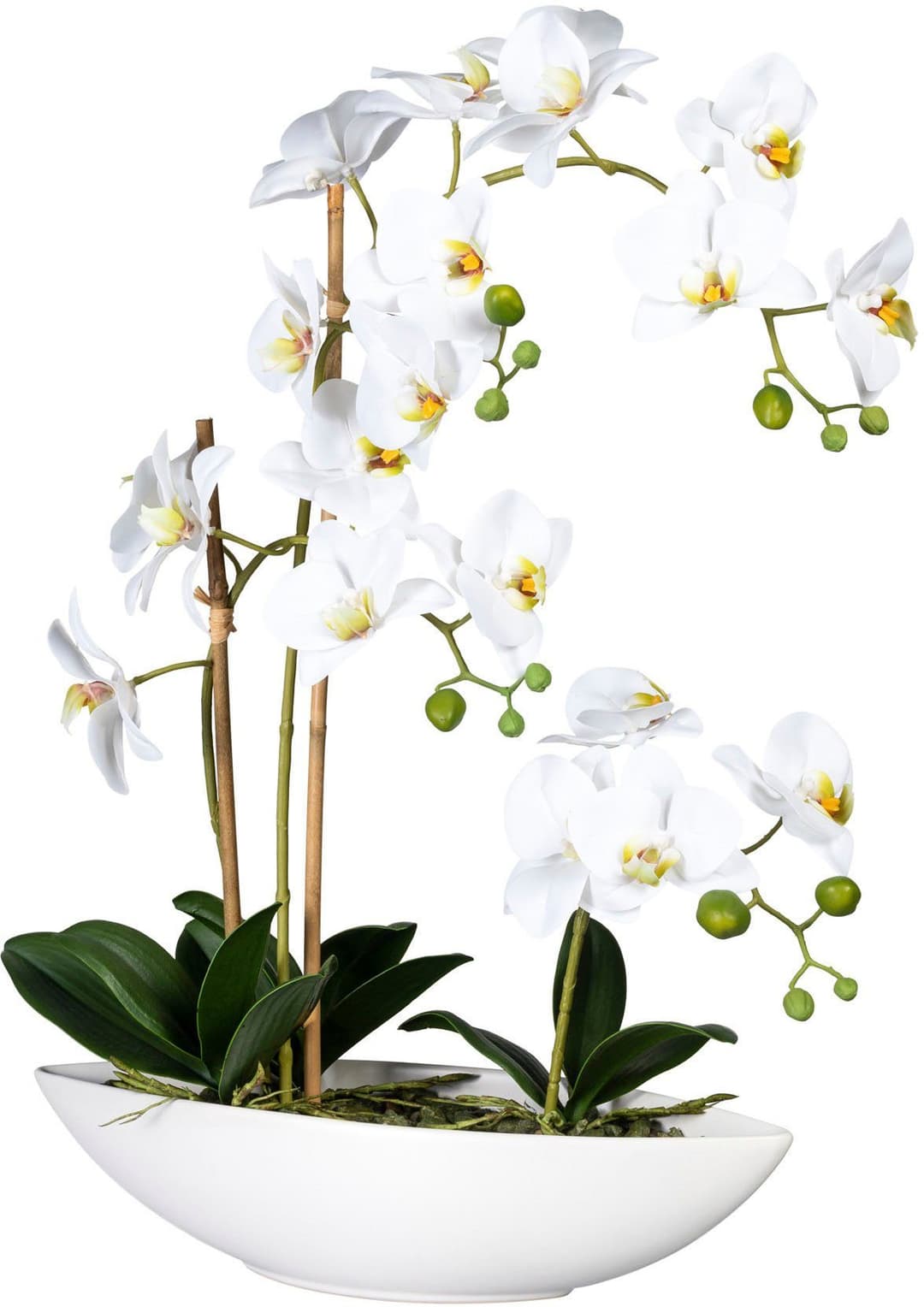 Kunstorchidee Phalaenopsis | Weiß