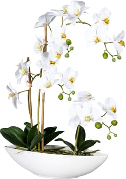 Kunstorchidee Phalaenopsis | Weiß