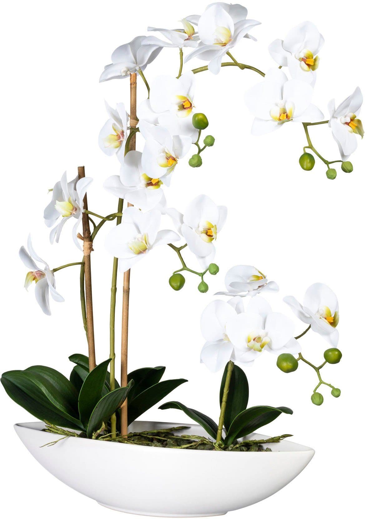 Kunstorchidee Phalaenopsis | Weiß