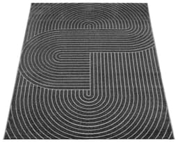 the carpet Teppich Santo Plus | Grau