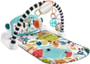 Fisher-Price® Spielbogen Klick & Play | Mehrfarbig