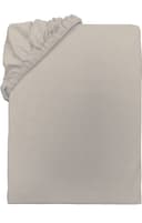 TOM TAILOR HOME Spannbettlaken | Beige