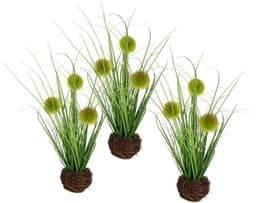 Kunstgras Künstliches Gras 'Knopfgras' | Grün