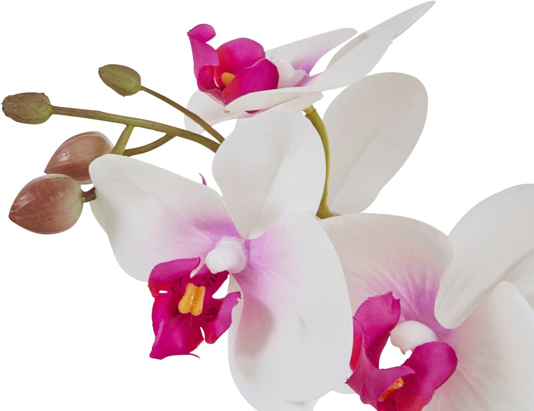 Kunstpflanze Orchidee | Weiß