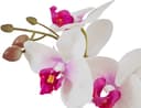 Kunstpflanze Orchidee | Weiß 2