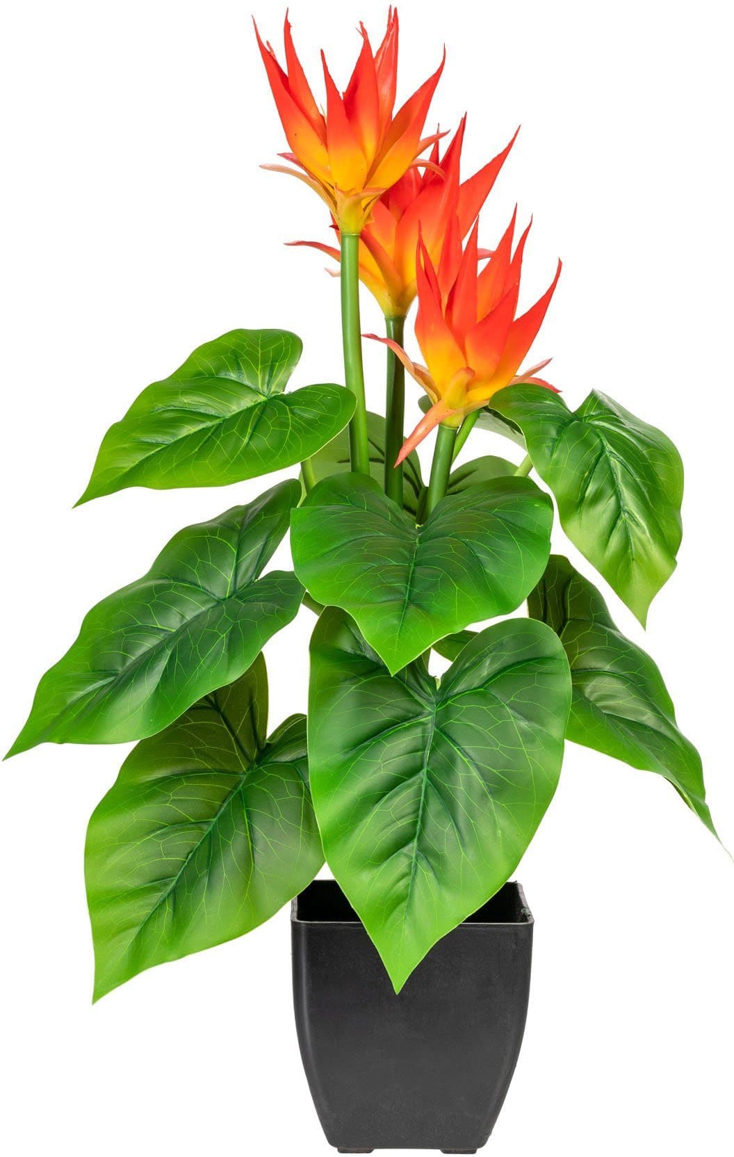 Kunstpflanze Warnow Guzmania | Orange