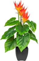 Kunstpflanze Warnow Guzmania | Orange