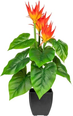 Kunstpflanze Warnow Guzmania | Orange