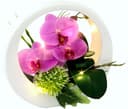 Kunstorchidee Orchidee | Rosa 2