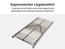 Lattenrost Tronfjell | Holztöne 3