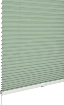 SCHÖNER WOHNEN-Kollektion Plissee Milla | Grün