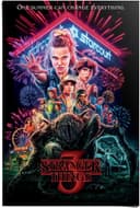 Reinders! Poster Stranger Things Summer of 85 - Netflix - Mike -