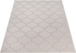 the carpet Teppich Knight | Beige