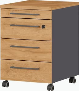 GERMANIA GW-Agenda Rollcontainer | Braun