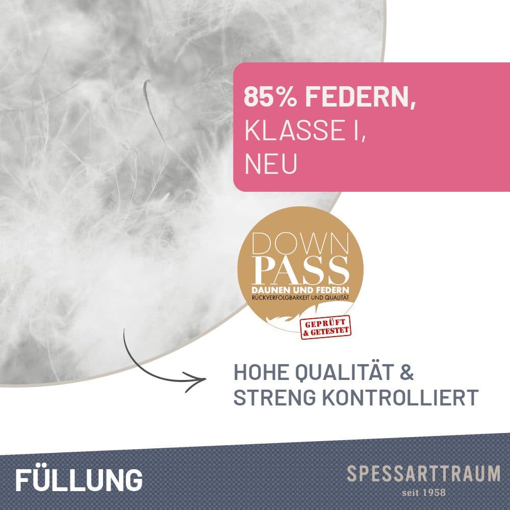SPESSARTTRAUM Federkissen FIRST CLASS | Weiß