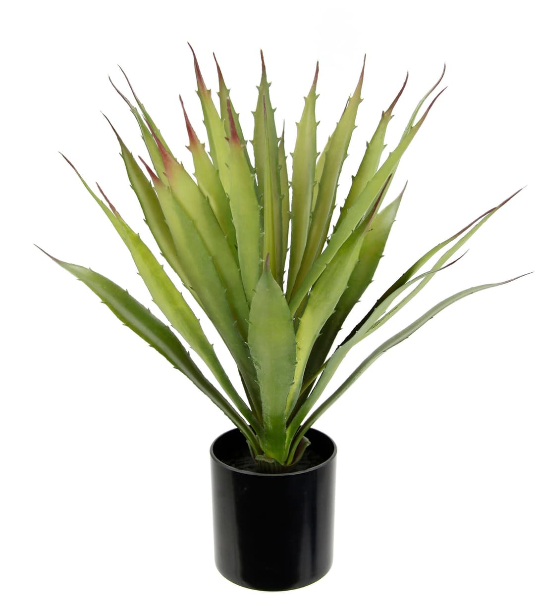 Künstliche Agave Aloe Vera | Grün