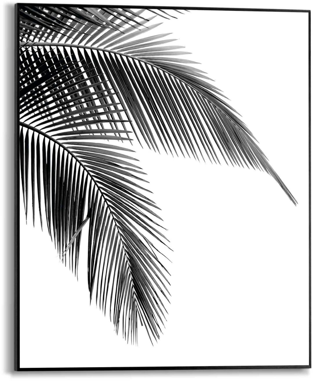 Reinders! Poster Palmen Blatt | Schwarz