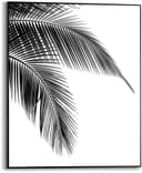 Reinders! Poster Palmen Blatt | Schwarz