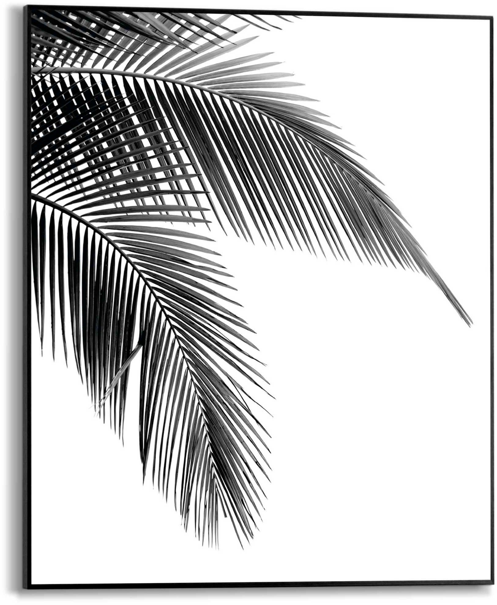 Reinders! Poster Palmen Blatt | Schwarz