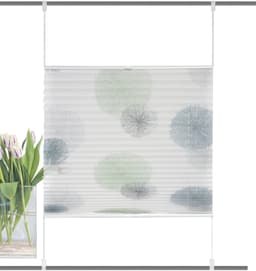 HOME WOHNIDEEN Plisseerollo RAWLINS | Mehrfarbig