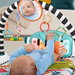 Fisher-Price® Spielbogen Klick & Play | Mehrfarbig