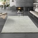 the carpet Teppich Bahar Shaggy | Beige
