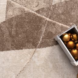 Paco Home Teppich Tuana 217 | Beige