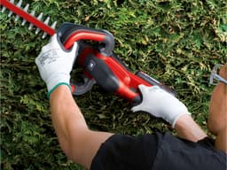 Einhell Akku-Heckenschere GC-CH 1846 Li-Solo | Rot