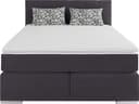 COTTA Boxspringbett Simba | Grau 4