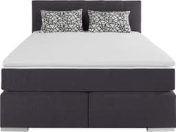 COTTA Boxspringbett Simba | Grau