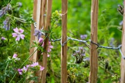 Dobar Staketenzaun | Holztöne