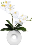 Kunstorchidee Phalaenopsis | Weiß