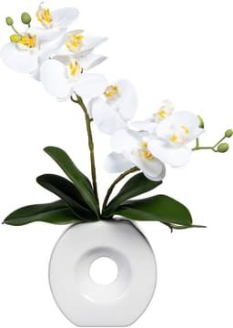 Kunstorchidee Phalaenopsis | Weiß