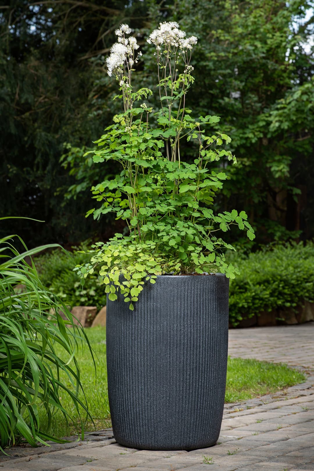 Scheurich Blumentopf Linetto High | Schwarz