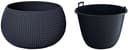 Prosperplast Pflanzkübel Splofy Bowl | Grau