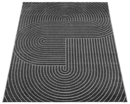 the carpet Teppich Santo Plus | Grau