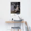 Reinders! Poster Star Wars - a new hope | Mehrfarbig 2
