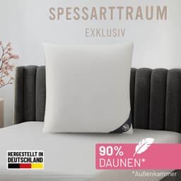 SPESSARTTRAUM 3-Kammer-Kopfkissen Exklusiv | Weiß