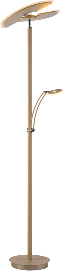 Paul Neuhaus LED Deckenfluter ARTUR | Beige