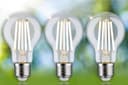 Paulmann LED-Leuchtmittel Eco-Line | Transparent 4
