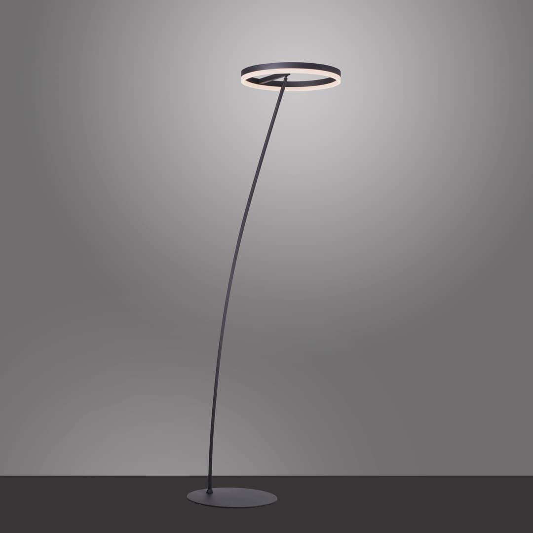 Paul Neuhaus Stehlampe TITUS | Schwarz