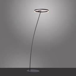 Paul Neuhaus Stehlampe TITUS | Schwarz