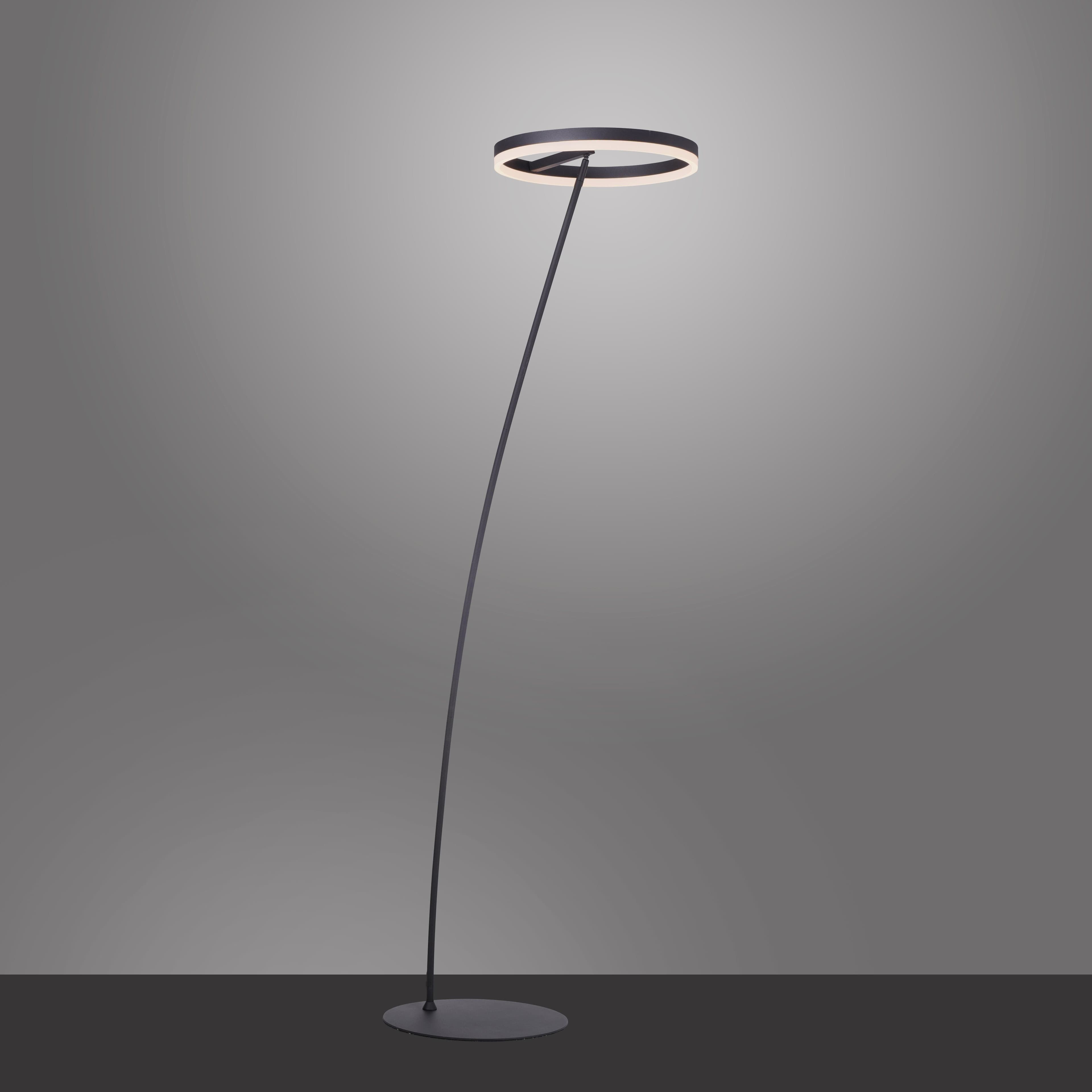Paul Neuhaus Stehlampe TITUS | Schwarz