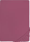Castell Jersey Spannbettlaken | Lila